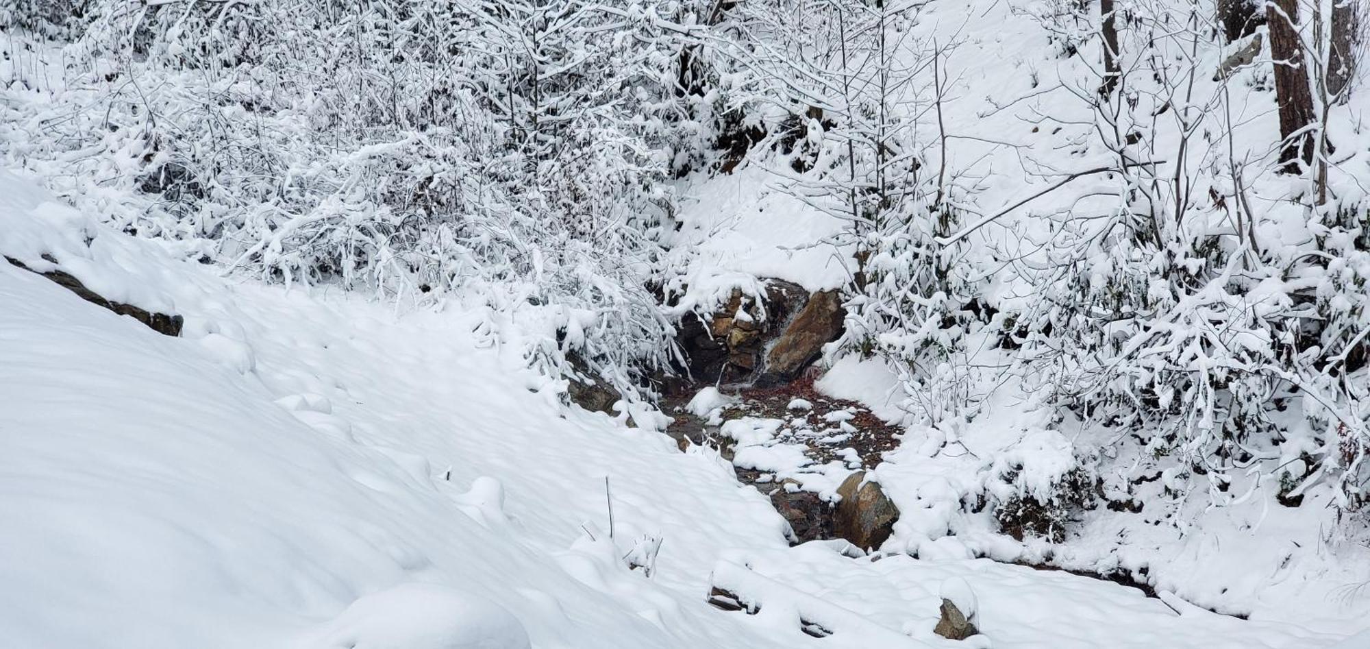 Lazy Bear Cabin Sevierville Buitenkant foto